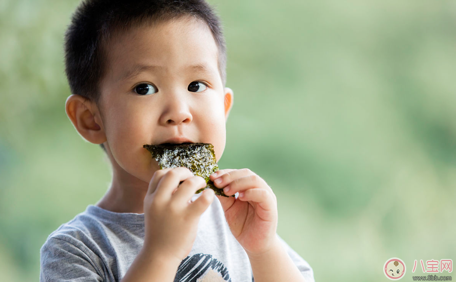 八个月宝宝能吃海苔吗？