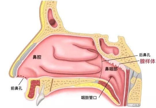 7个月宝宝鼻子不通气怎么办