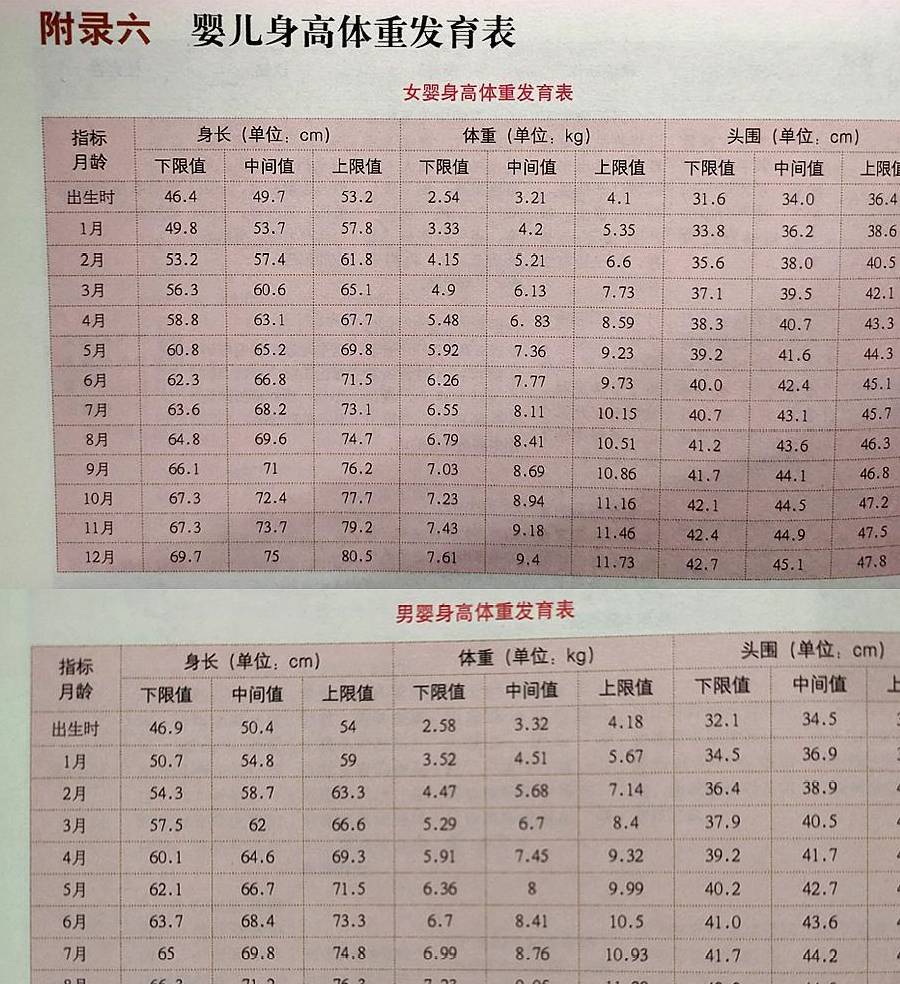 3个月柯基标准体重，全面解析与养育指南