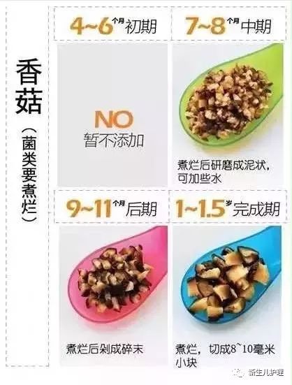 宝宝多少个月可以添加辅食，全面解析与科学建议