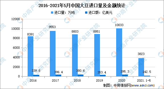 澳门最新蔬菜价格及市场趋势分析