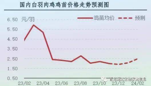 最新肉鸡行情，市场趋势与影响因素分析